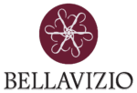 Bellavizio Logo 1000 a
