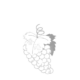 HKSA logo s